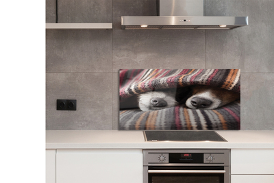 Kitchen Splashback Sleeping Dogs