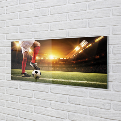 Kitchen Splashback Football stadium legs