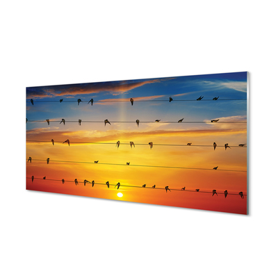 Kitchen Splashback Birds on sunset ropes
