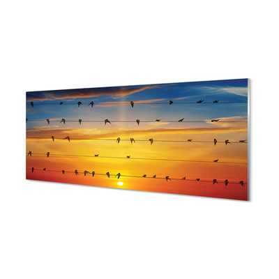 Kitchen Splashback Birds on sunset ropes