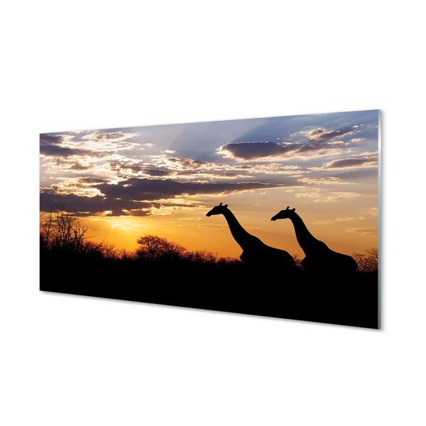 Kitchen Splashback Clouds Girafes wave