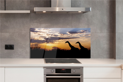 Kitchen Splashback Clouds Girafes wave