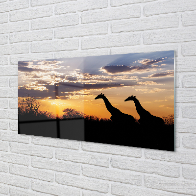 Kitchen Splashback Clouds Girafes wave