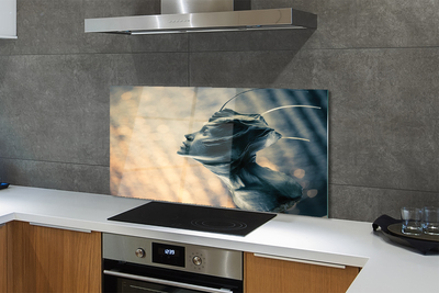 Kitchen Splashback The shape of the head