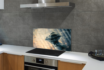 Kitchen Splashback The shape of the head