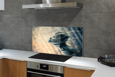 Kitchen Splashback The shape of the head