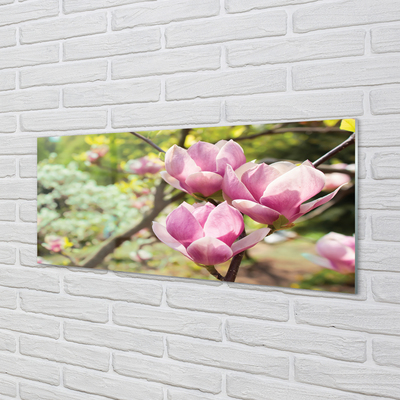 Kitchen Splashback magnolia