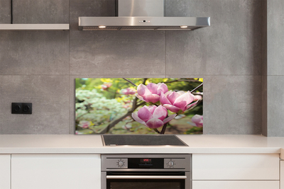 Kitchen Splashback magnolia