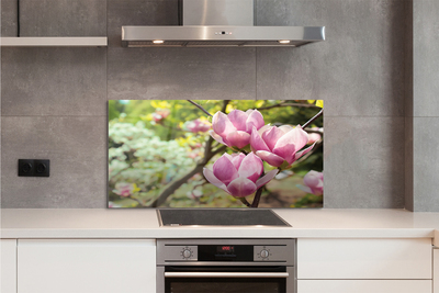 Kitchen Splashback magnolia