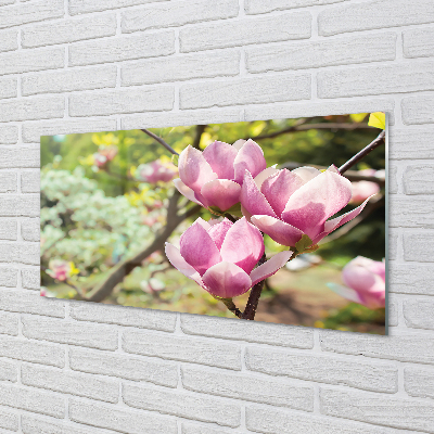 Kitchen Splashback magnolia