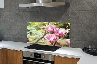 Kitchen Splashback magnolia