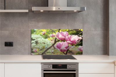 Kitchen Splashback magnolia