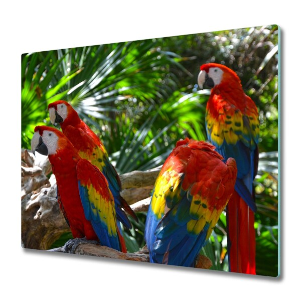 Worktop saver Macaws parrots