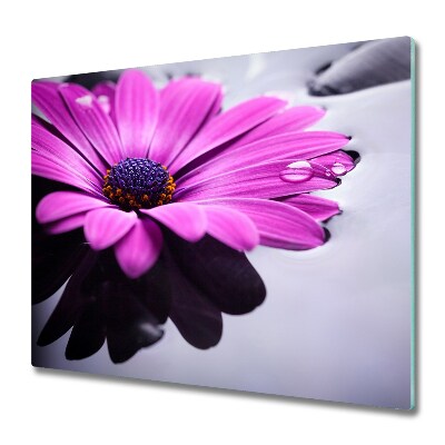 Worktop saver Gerbera