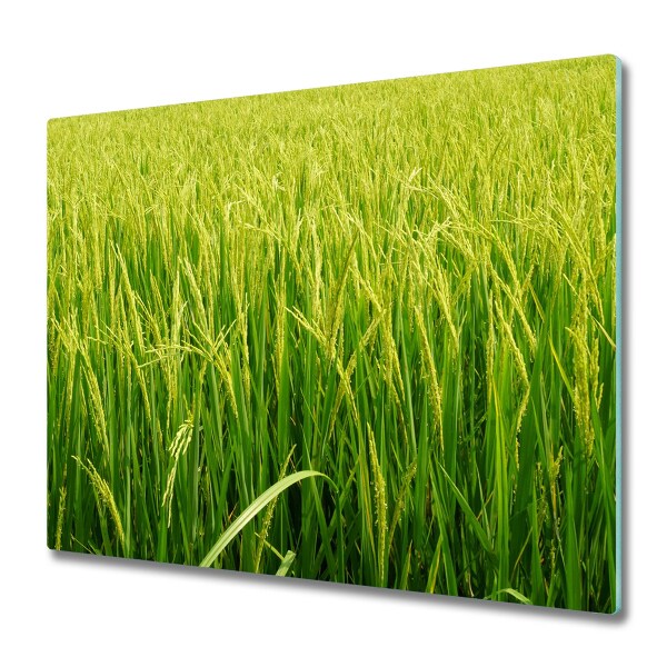 Worktop saver Paddy field