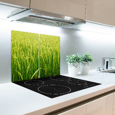 Worktop saver Paddy field