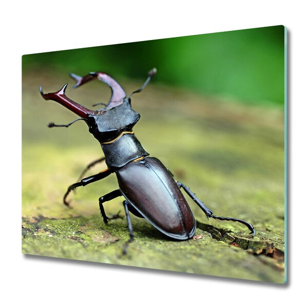 Worktop saver Beetle