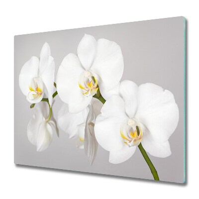 Worktop saver Orchid