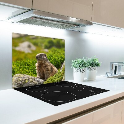 Worktop saver Marmot tatra