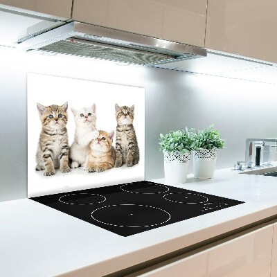 Worktop saver Small cats