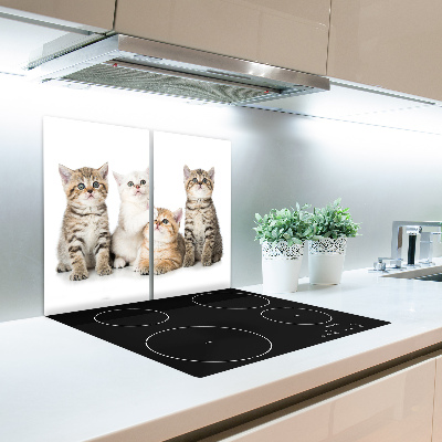 Worktop saver Small cats