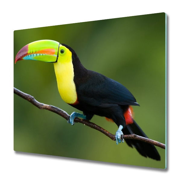 Worktop saver Toucan