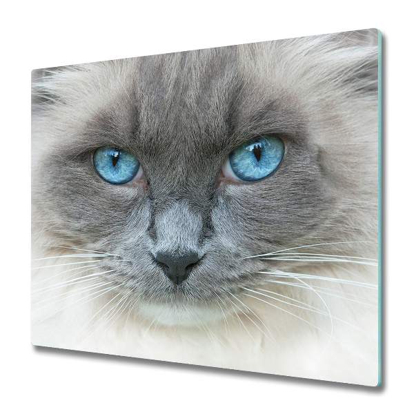 Worktop saver Cat blue eyes