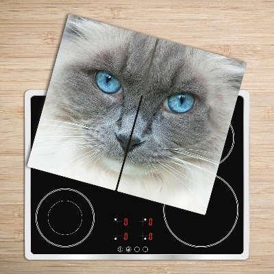 Worktop saver Cat blue eyes