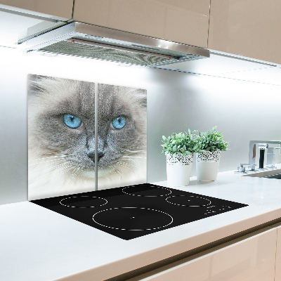 Worktop saver Cat blue eyes