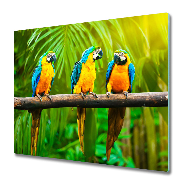 Worktop saver Parrots branch