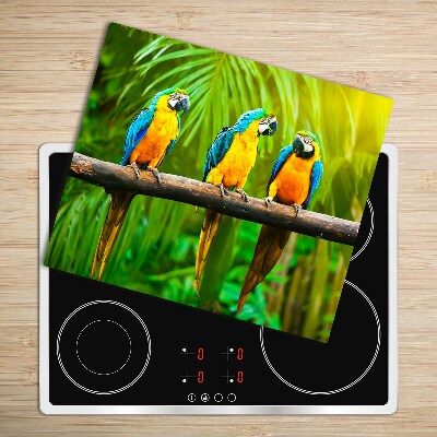 Worktop saver Parrots branch