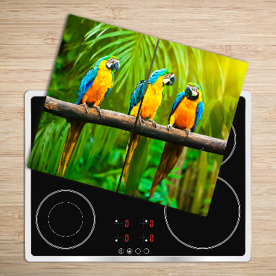 Worktop saver Parrots branch