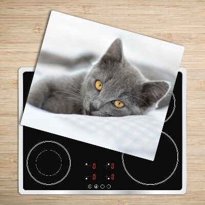 Worktop saver Gray cat