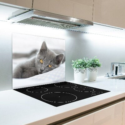 Worktop saver Gray cat