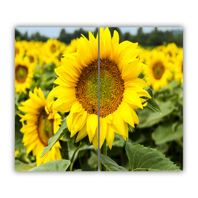 Chopping board Sunflower field
