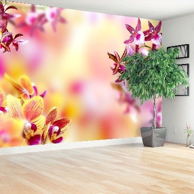 Wallpaper Orchid pink