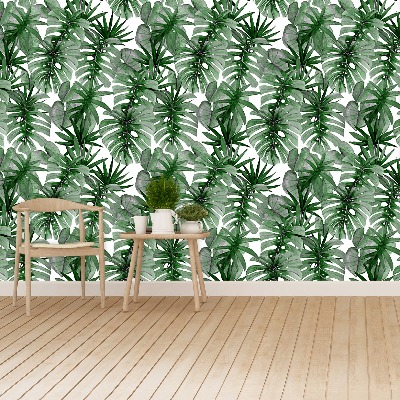 Wallpaper Tropical monstera