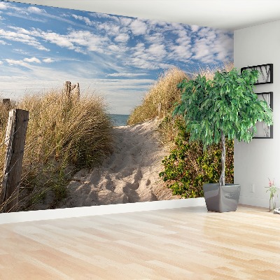 Wallpaper Path through the dunes