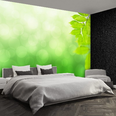 Wallpaper Green branch
