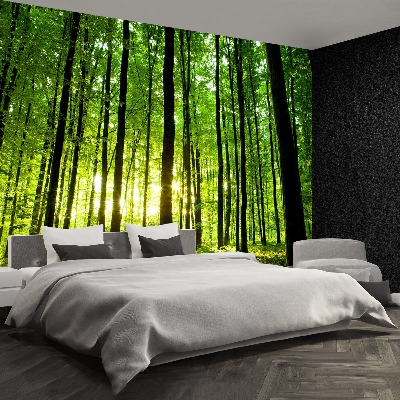 Wallpaper Green forest