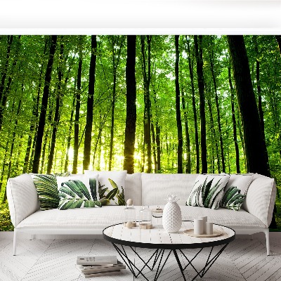 Wallpaper Green forest