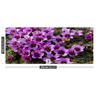 Wallpaper Violet scale