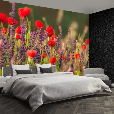 Wallpaper Field flowers