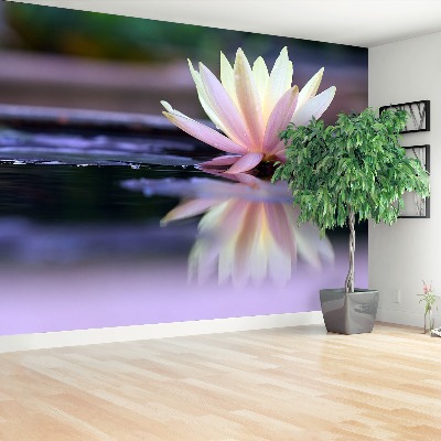 Wallpaper Lotus