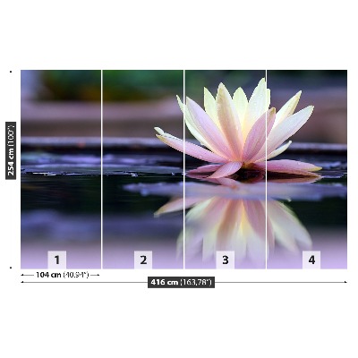 Wallpaper Lotus