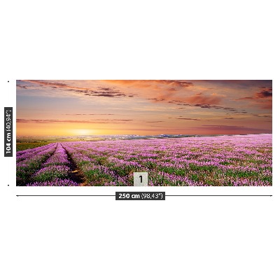 Wallpaper Lavender field