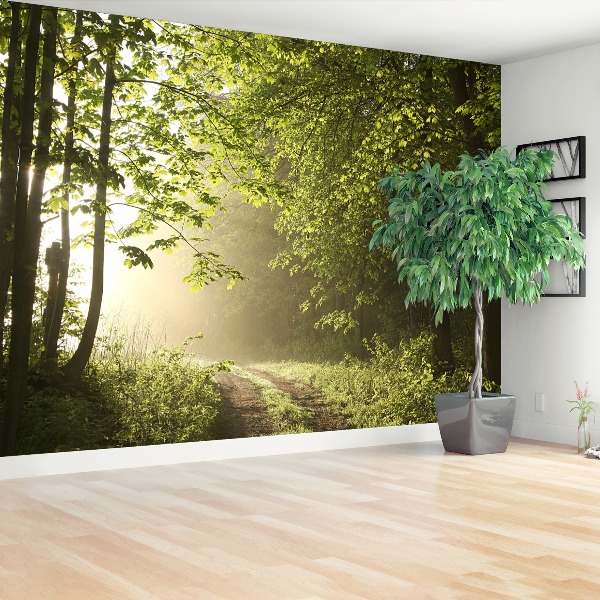 Wallpaper Forest path