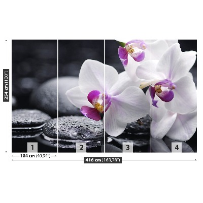 Wallpaper Orchid