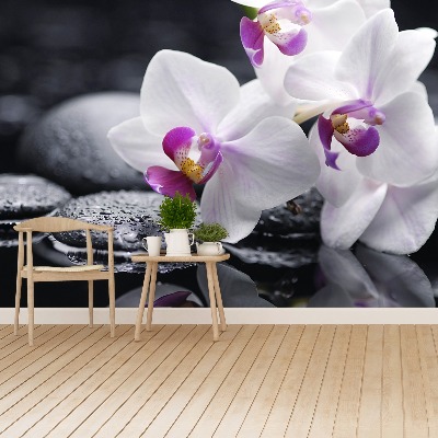 Wallpaper Orchid