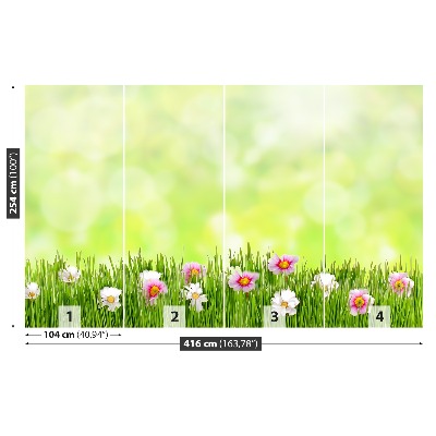 Wallpaper Grass flowers